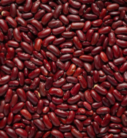Rajma