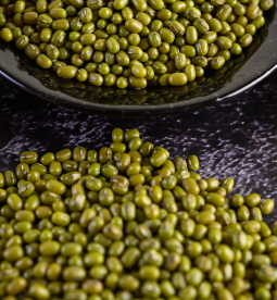 Sprouted and dried green gram