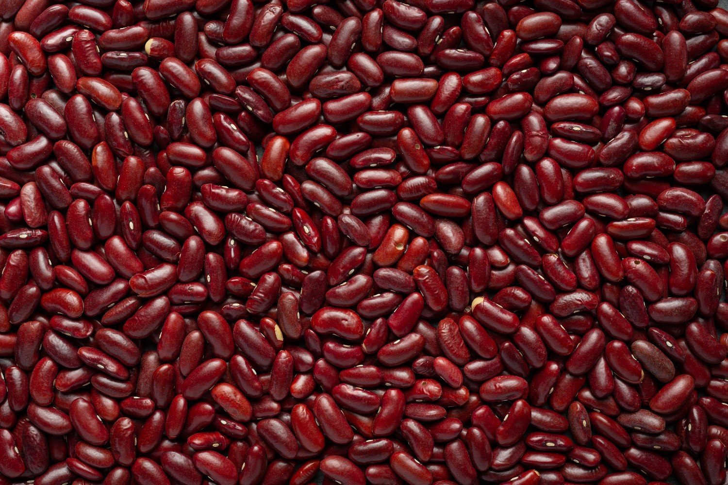 Rajma