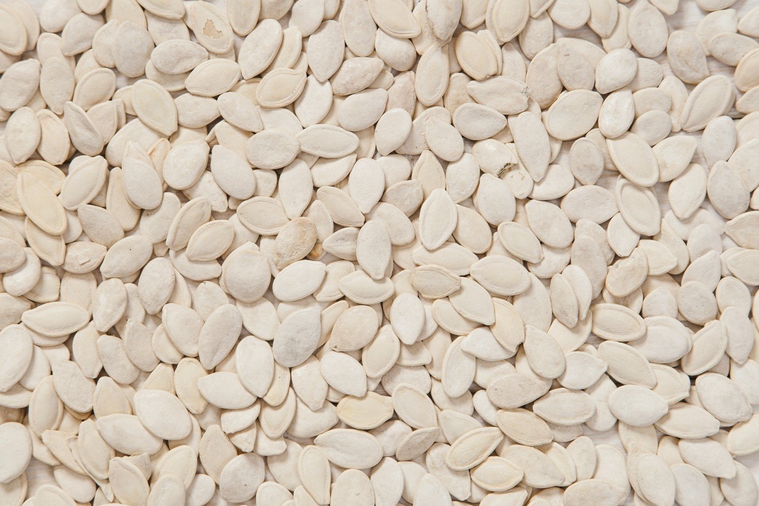 Pumpkin seeds